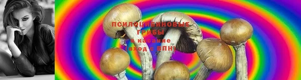 кокаин колумбия Пересвет
