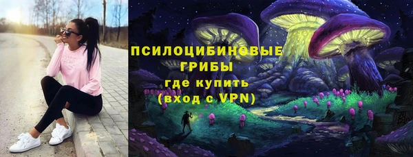 бошки Переславль-Залесский