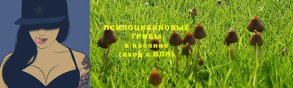 бошки Переславль-Залесский