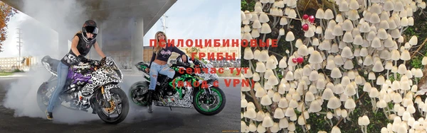 бошки Переславль-Залесский