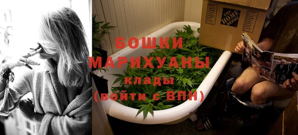ПСИЛОЦИБИНОВЫЕ ГРИБЫ Осташков