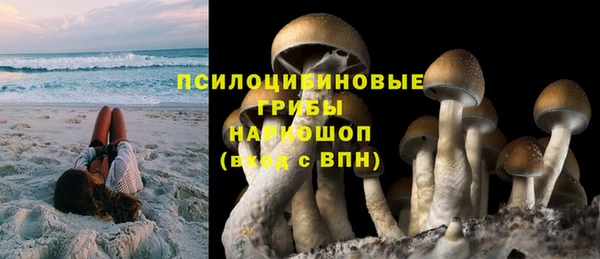 винт Пестово