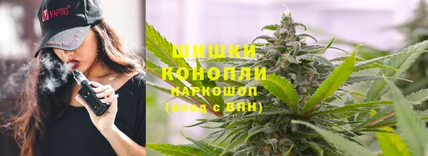 ПСИЛОЦИБИНОВЫЕ ГРИБЫ Осташков