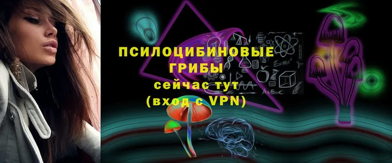 Галлюциногенные грибы прущие грибы  продажа наркотиков  Куса 