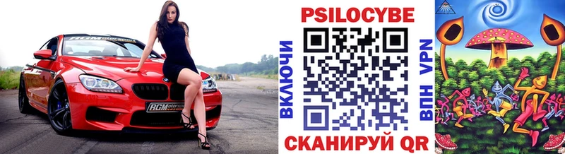купить  сайты  кракен как войти  Псилоцибиновые грибы Cubensis  Куса 